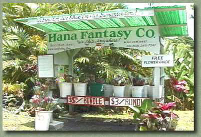 The Hana Fantasy Flower Stand - along Maui's enchanting Hana Highway.